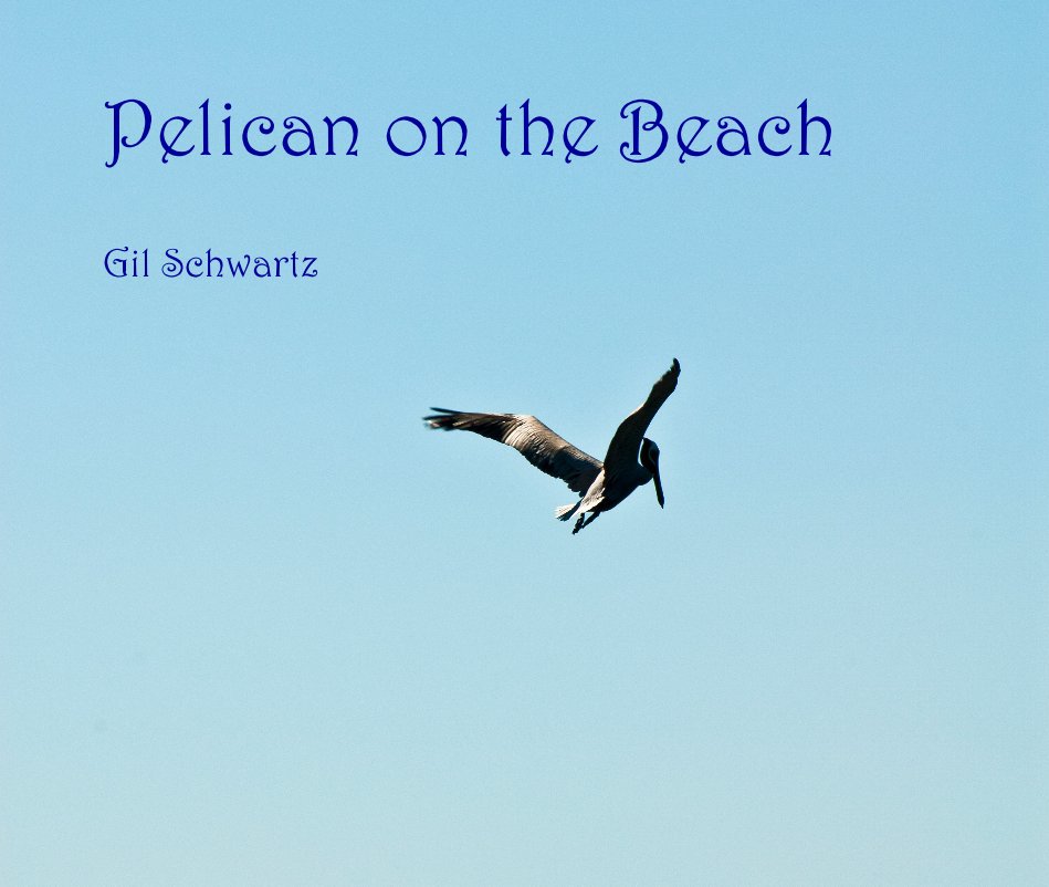 View Pelican on the Beach by Gil Schwartz