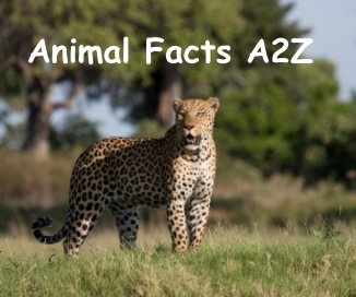 Animal Alphabet book cover