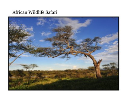 African Wildlife Safari book cover