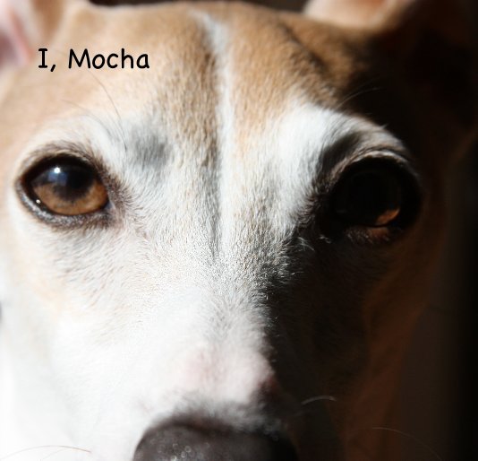 Ver I, Mocha por Marmalades