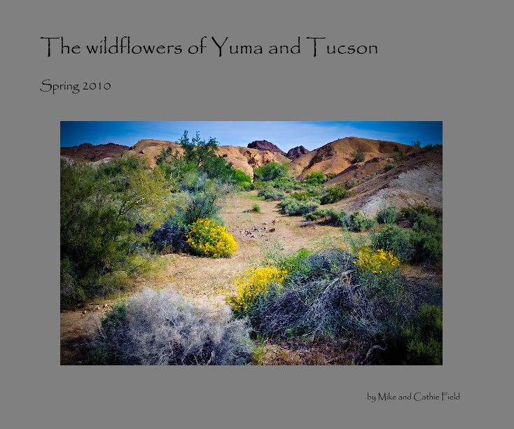 Ver The wildflowers of Yuma and Tucson por Mike and Cathie Field