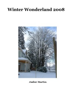 Winter Wonderland 2008 book cover