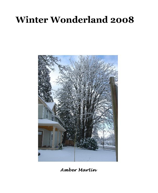 View Winter Wonderland 2008 by Amber Martin
