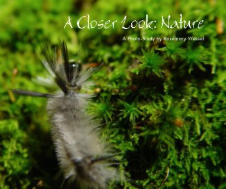 A Closer Look: Nature book cover