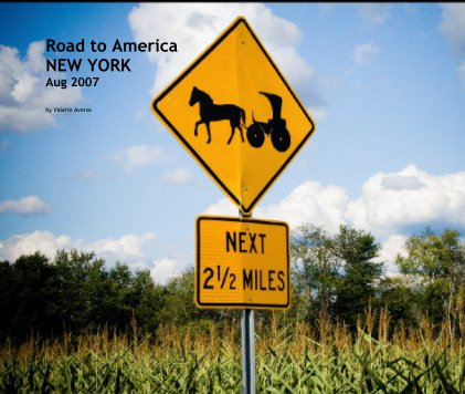 Road to America
NEW YORK
Aug 2007 book cover