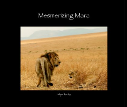 Mesmerizing Mara book cover