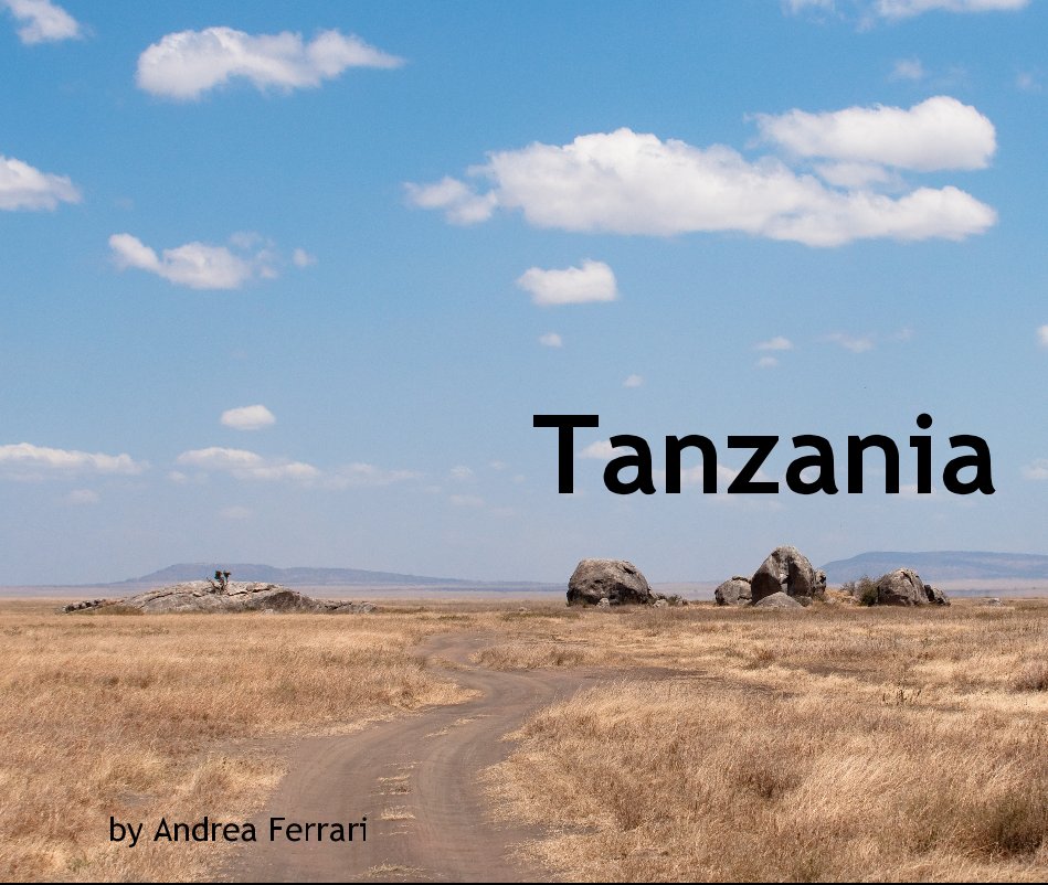 View Tanzania by Andrea Ferrari