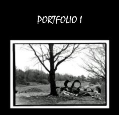 PORTFOLIO I book cover