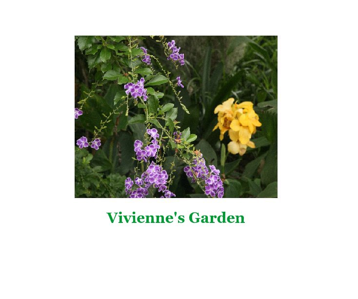 View Vivienne's Garden by Paul & Lesley Hulbert