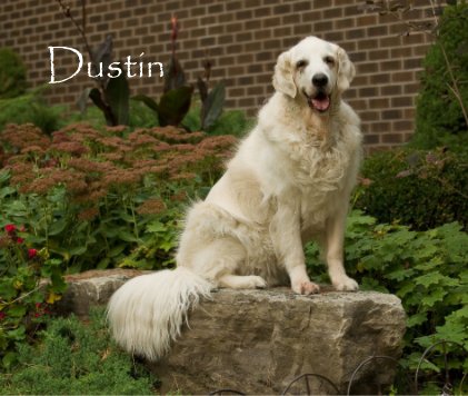 Dustin book cover