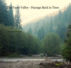 The Vaser Valley book cover