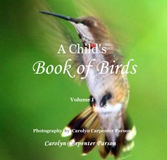 A Child's Book of Birds Volume I book cover
