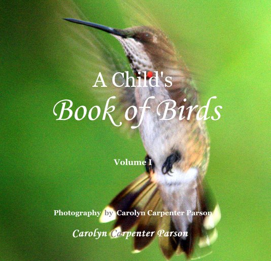 View A Child's Book of Birds Volume I by Carolyn Carpenter Parson