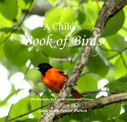Bekijk A Child's Book of Birds Volume II op Carolyn Carpenter Parson
