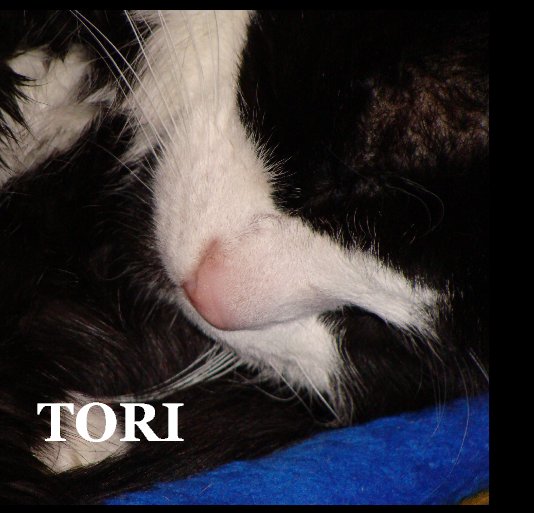View TORI by NANCY HARVIE
