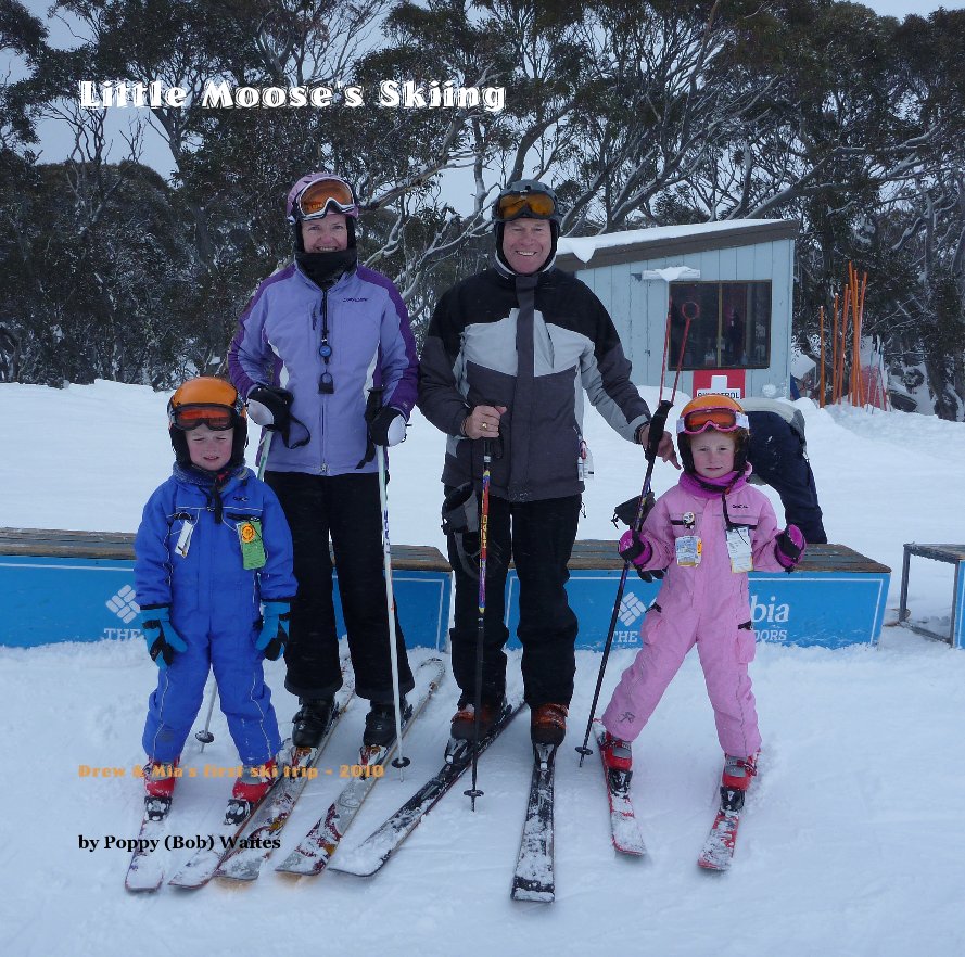 View Little Moose's Skiing by Poppy (Bob) Waites