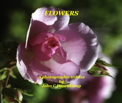 FLOWERS A photographic tribute by John C Doornkamp book cover