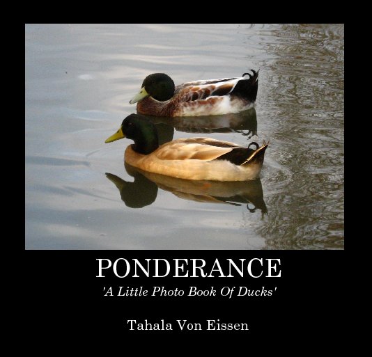 View PONDERANCE'A Little Photo Book Of Ducks' by Tahala Von Eissen