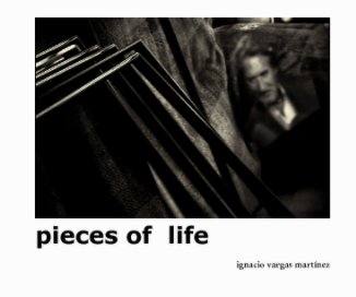 pieces of  life book cover
