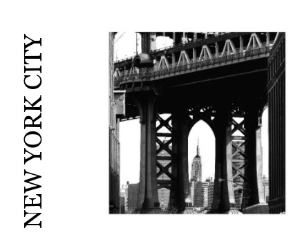 NEW YORK CITY book cover