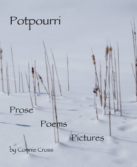 Potpourri Prose Poems Pictures by Connie Cross book cover