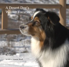 A Desert Dog's Winter Vacation book cover