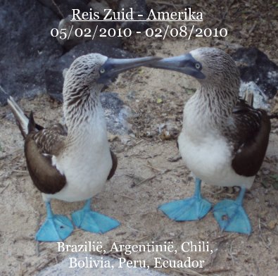 Reis Zuid - Amerika 05/02/2010 - 02/08/2010 book cover