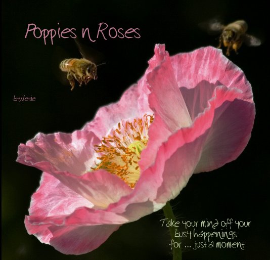 View Poppies n Roses by Nettie