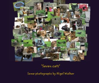 "Seven cats" book cover