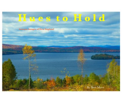 Hues to Hold book cover