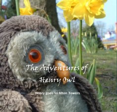 The Adventures of Henry Owl book cover