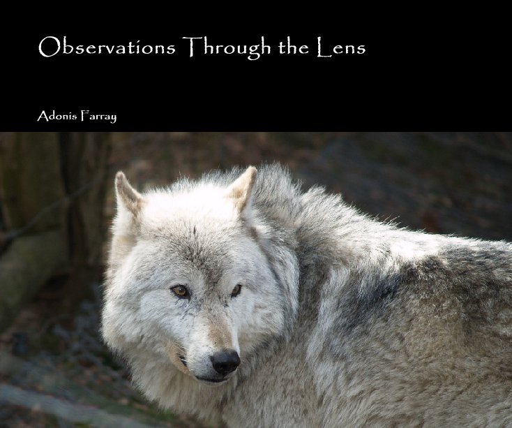 View Observations Through the Lens by Adonis Farray