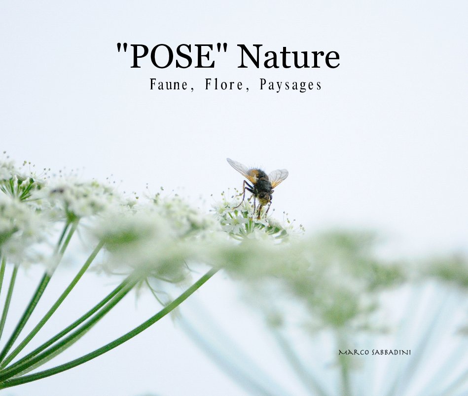 Visualizza "POSE" Nature Faune, Flore, Paysages Marco SABBADINI di SABBADINI Marco
