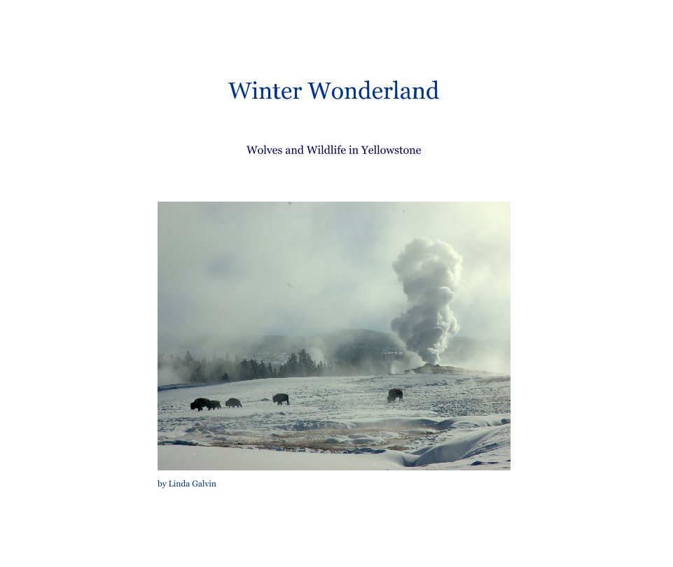 View Winter Wonderland by Linda Galvin