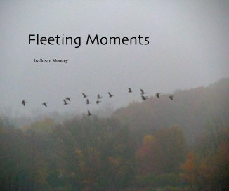 Fleeting Moments book cover