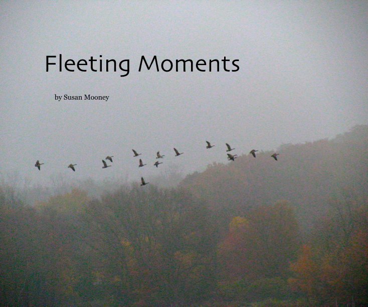 View Fleeting Moments by Susan Mooney