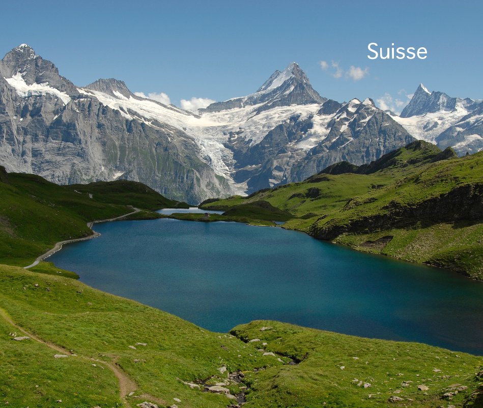 View Switzerland by Didier Roy