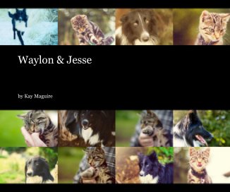 Waylon & Jesse book cover