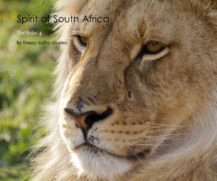 View Spirit of South Africa by Danny Kidby-Hunter