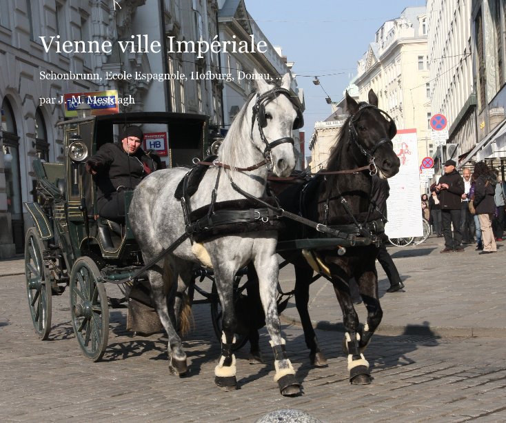 View Vienne ville Impériale by par J.-M. Mestdagh