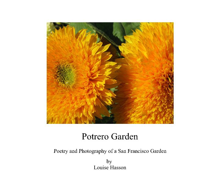 Potrero Garden nach Louise Hasson anzeigen