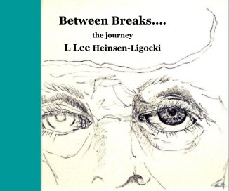 Between Breaks   the journey. book cover