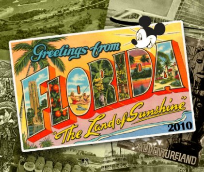 Florida 2010 book cover