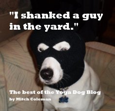"I shanked a guy in the yard." book cover