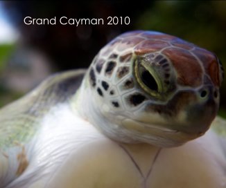 Grand Cayman 2010 book cover