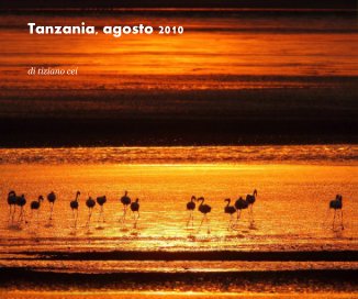 Tanzania, agosto 2010 book cover