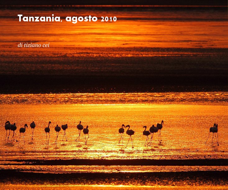 View Tanzania, agosto 2010 by di tiziano cei
