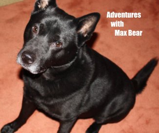 Adventures with Max Bear book cover