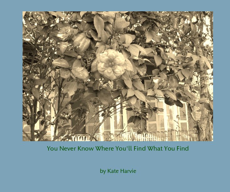 View You Never Know Where You'll Find What You Find by Kate Harvie