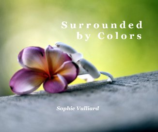 S u r r o u n d e d b y C o l o r s Sophie Vulliard book cover